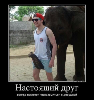 друг.jpg