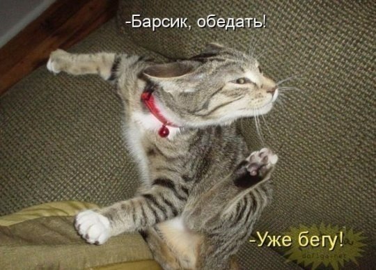 обед.jpg