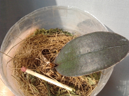 2013-08-17 08.24.34.jpg
