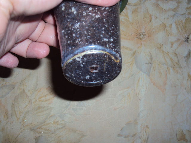DSC07886.JPG