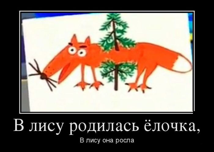 5116927.JPG