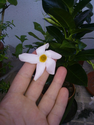 WP_000353.jpg