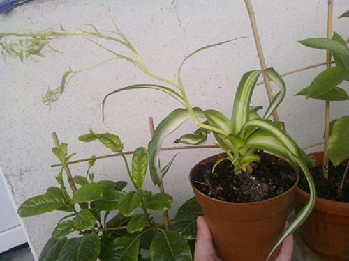 WP_000429.jpg