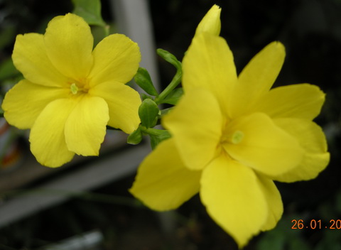 DSCN1163.JPG