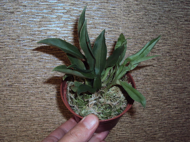 DSC07893.JPG