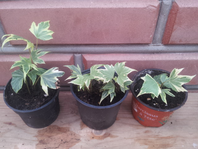 20130828_105134.jpg