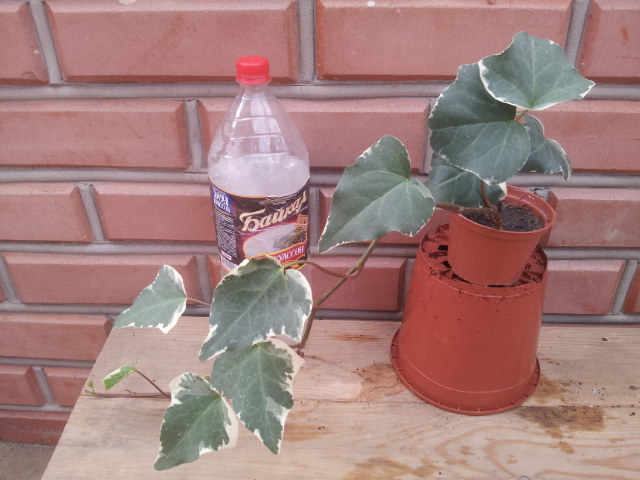 20130828_110157.jpg
