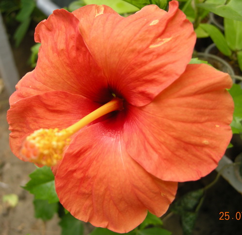 DSCN2238.JPG