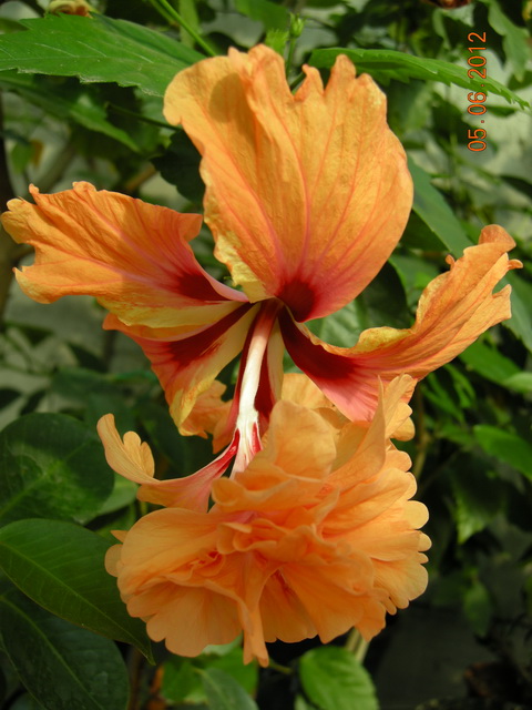 DSCN8898.JPG