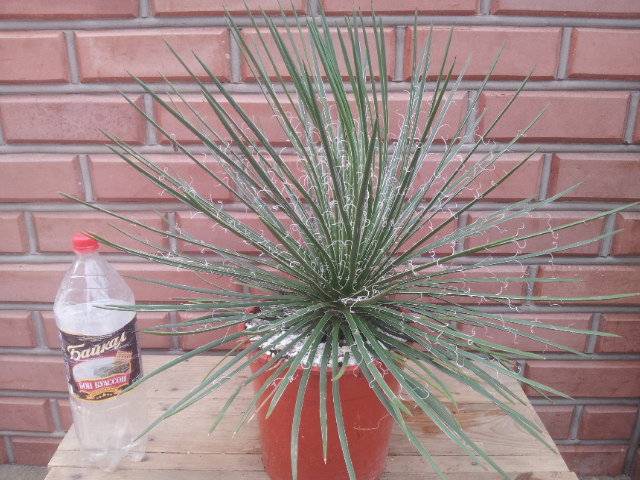 20130828_112555.jpg