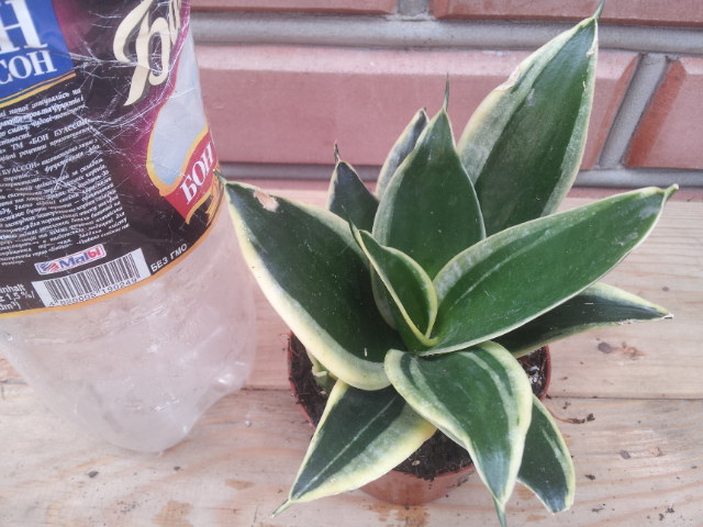 20130828_105924.jpg
