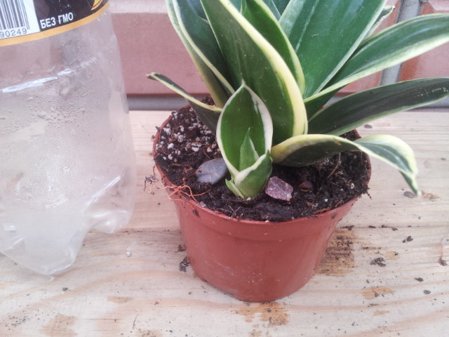 20130828_105931.jpg