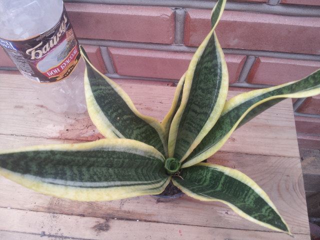 20130828_115040.jpg
