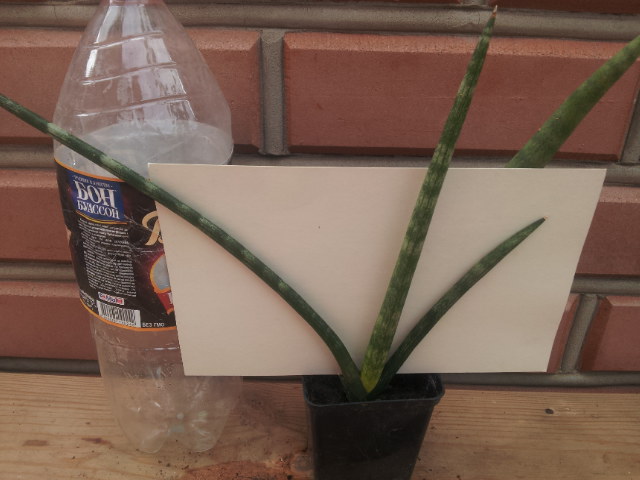 20130828_114736.jpg