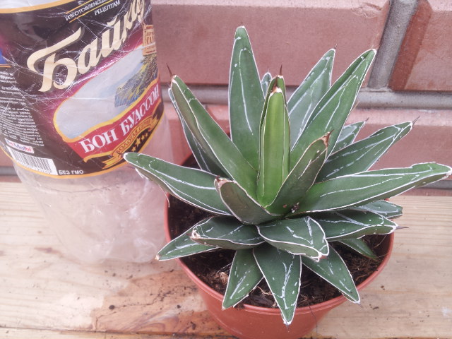 20130828_114852.jpg