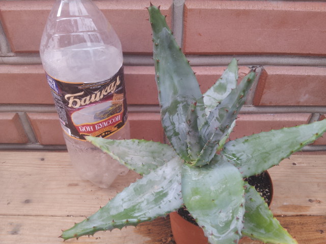 20130828_112109.jpg