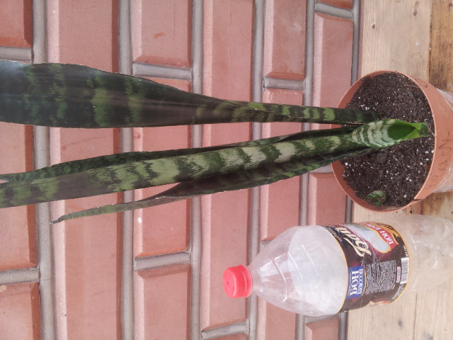 20130828_113954.jpg