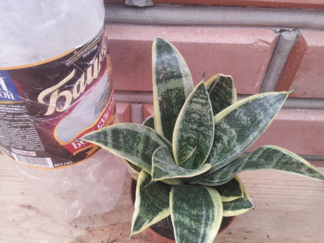 20130828_114057.jpg