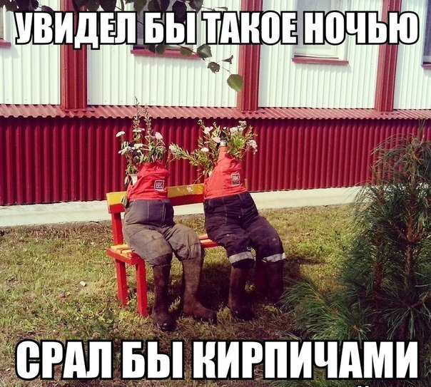 v56sIMIUNFo.jpg