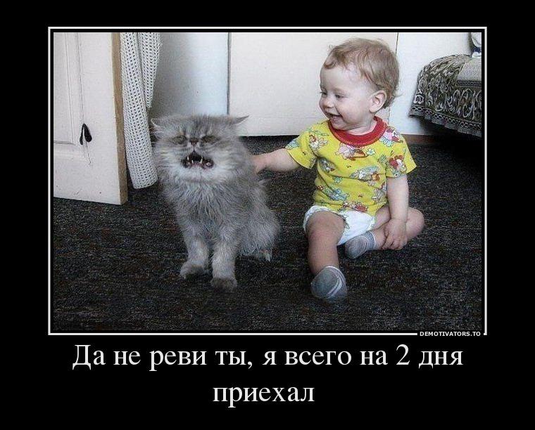 get_image=.jpg