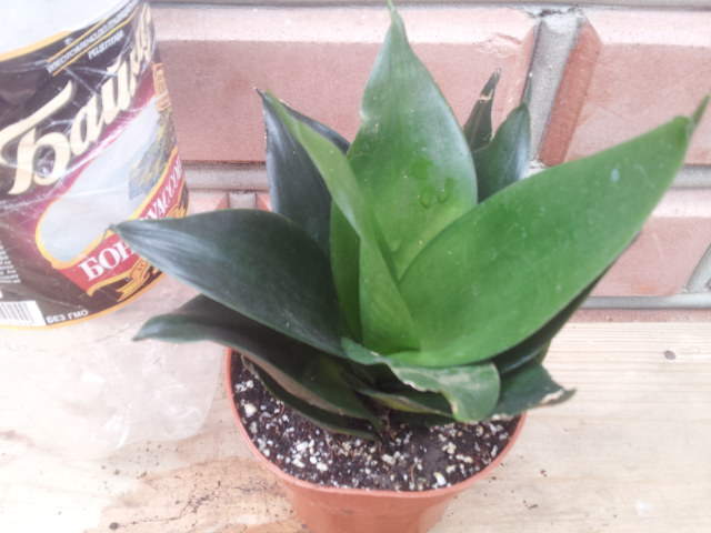20130828_114215.jpg