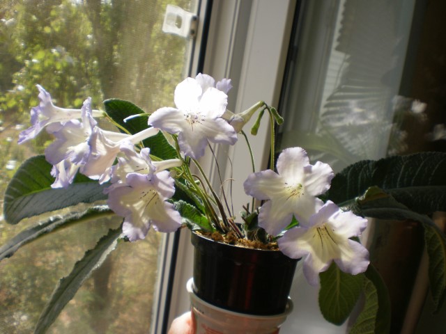 PB030149.JPG