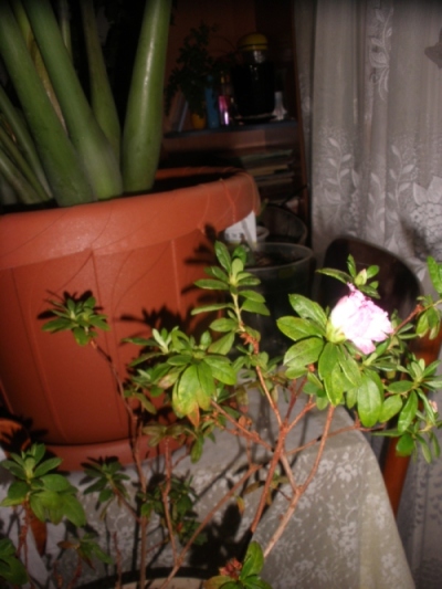 P8300126.JPG