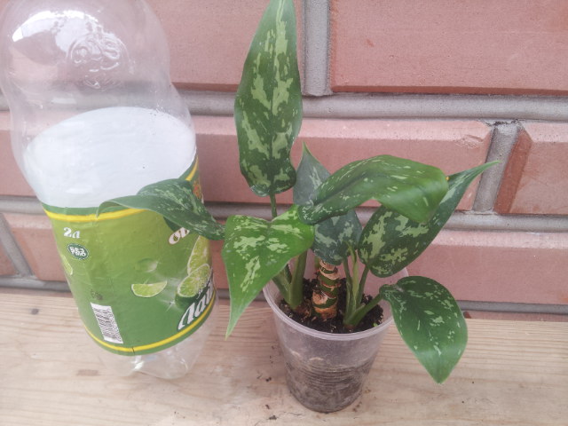20130830_122543.jpg