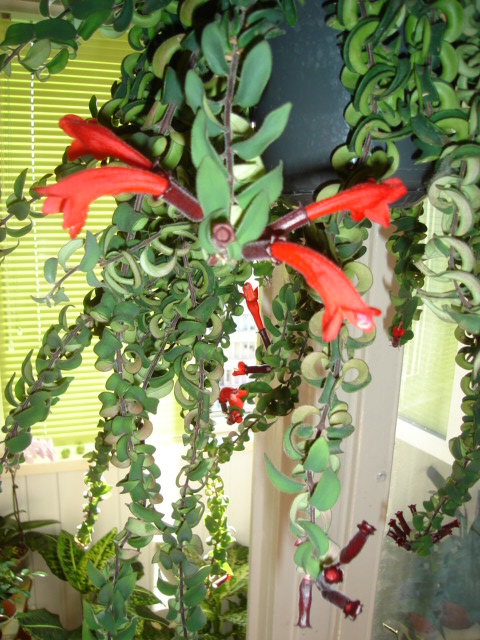 DSC00307.JPG