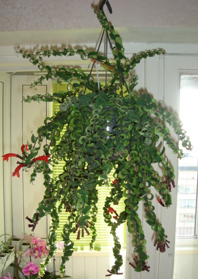 DSC00301.JPG