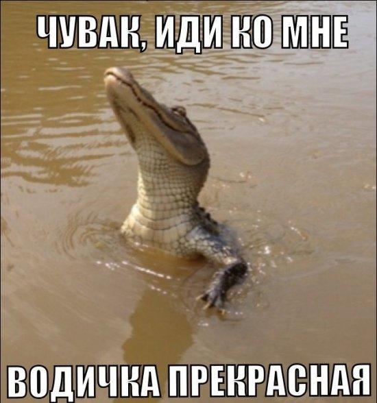водичка.jpg
