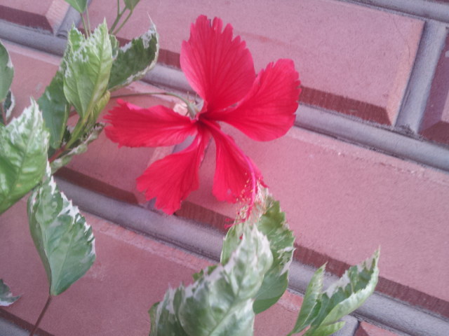 20130822_191015.jpg