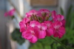 25606307_0.jpg