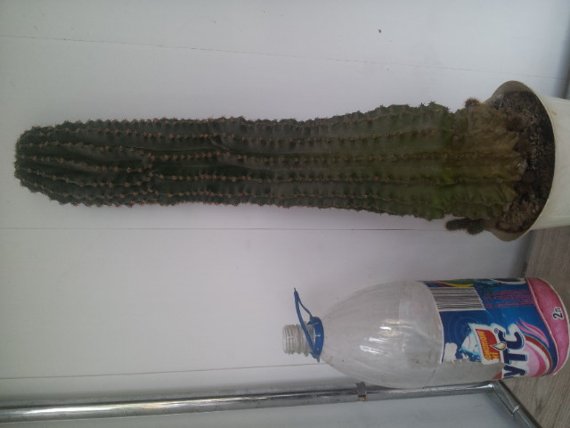 20130904_152205.jpg