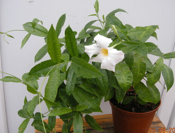 DSCN2480.JPG