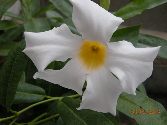 DSCN2476.JPG