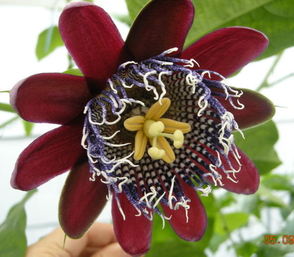 DSCN2490.JPG
