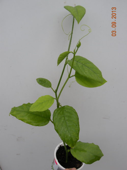 DSCN2473.JPG