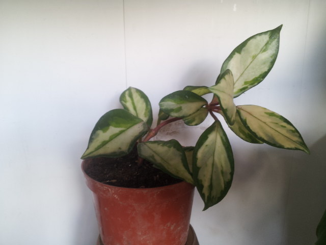 20130906_082022.jpg