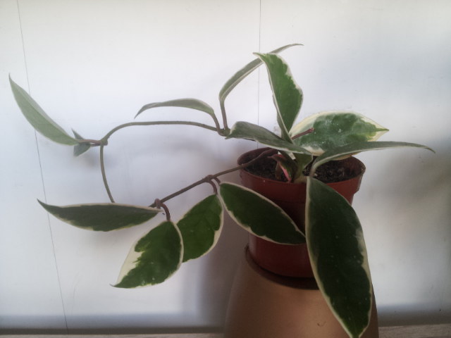 20130906_082011.jpg