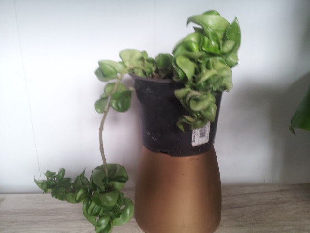 20130906_075330.jpg