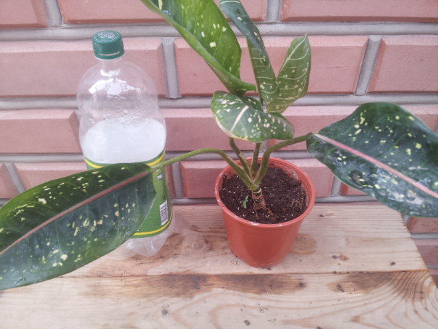 20130907_080846.jpg