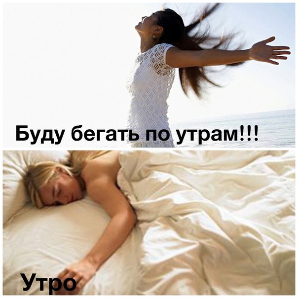 утро.jpg