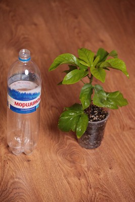 IMG_9789.JPG