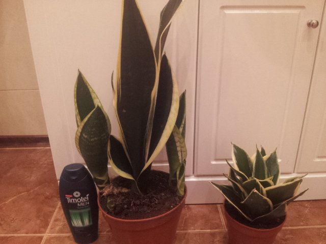 20130909_205819.jpg