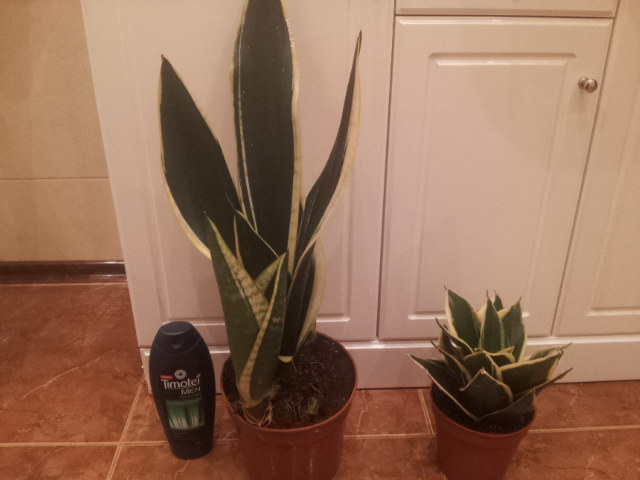 20130909_205647.jpg