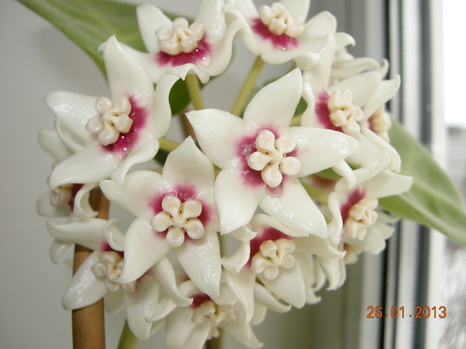 DSCN1159.JPG