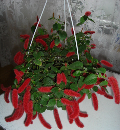 DSC00428.JPG