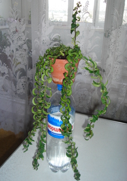 DSC00451.JPG