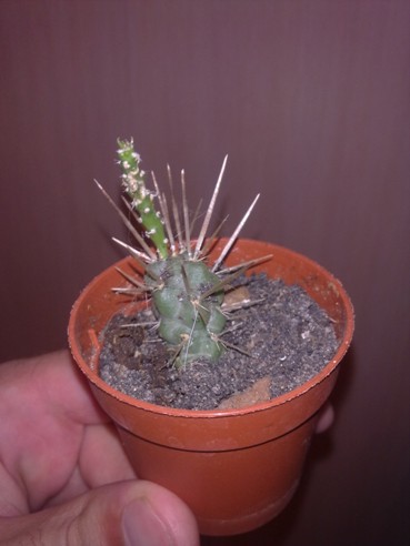 190820132866.jpg